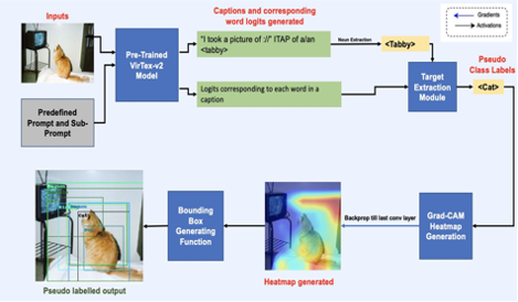 SSL Object Detection
